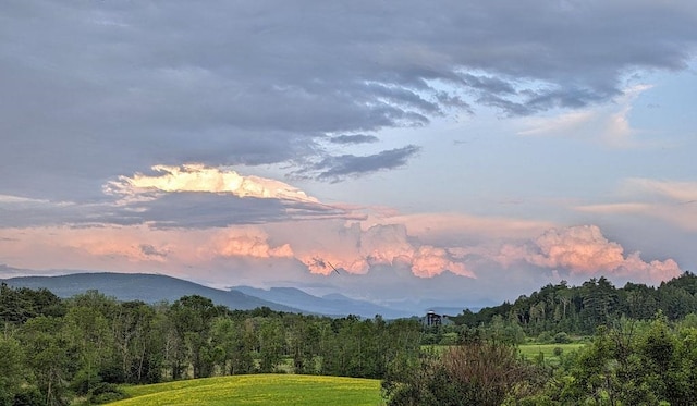 5559 W Creek Rd, Brandon, VT 05733 - view of mountain background with a forest