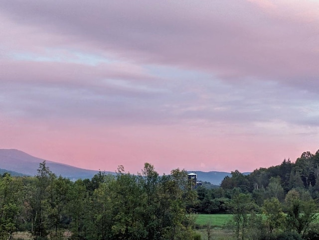 5559 W Creek Rd, Brandon, VT 05733 - view of mountain background