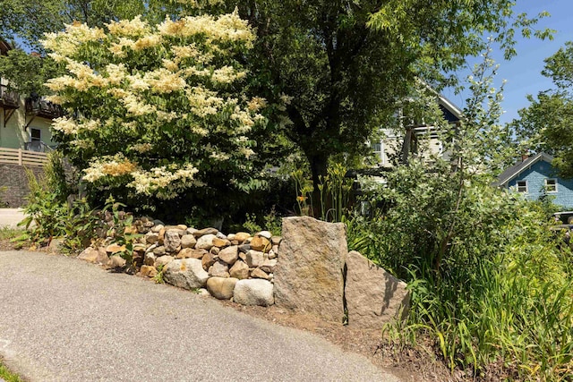 10 Prospect St, Somersworth, NH 03878 - view of yard