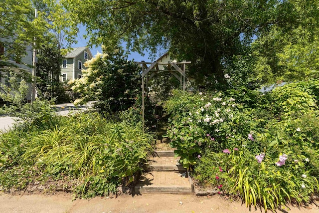 10 Prospect St, Somersworth, NH 03878 - view of yard