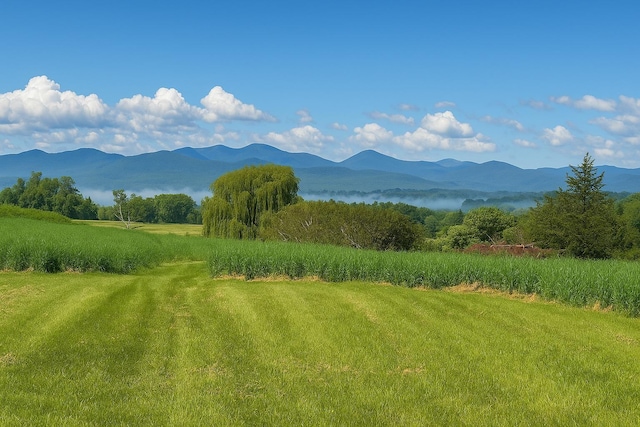 408 Webster Rd, Ferrisburgh, VT 05491