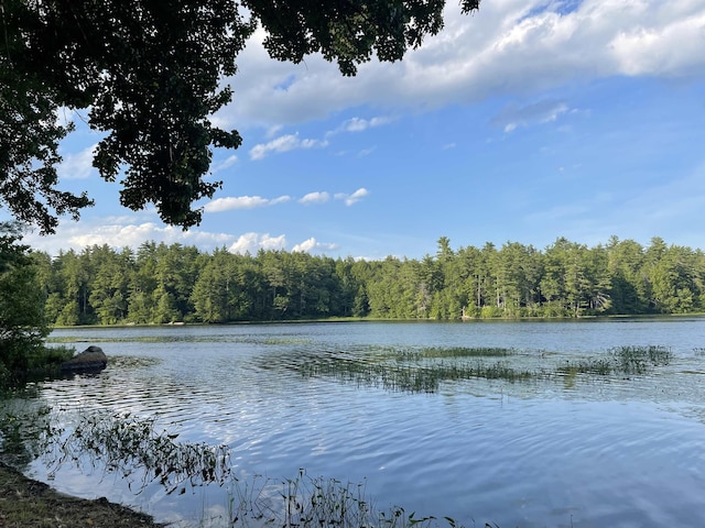 207 Long Pond Rd, Danville, NH 03819 - water view featuring a heavily wooded area