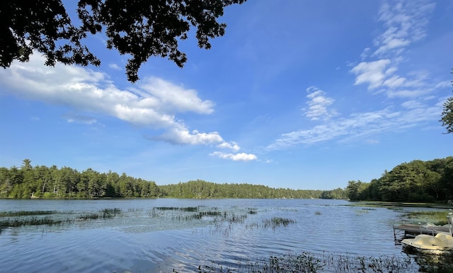 207 Long Pond Rd, Danville, NH 03819 - water view featuring a forest