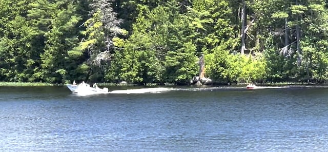 207 Long Pond Rd, Danville, NH 03819 - water view