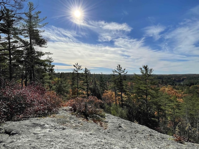 207 Long Pond Rd, Danville, NH 03819 - view of yard with a wooded view