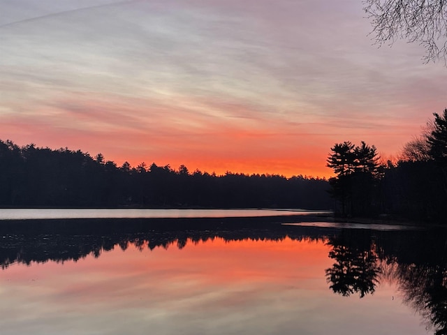 207 Long Pond Rd, Danville, NH 03819 - water view with a forest