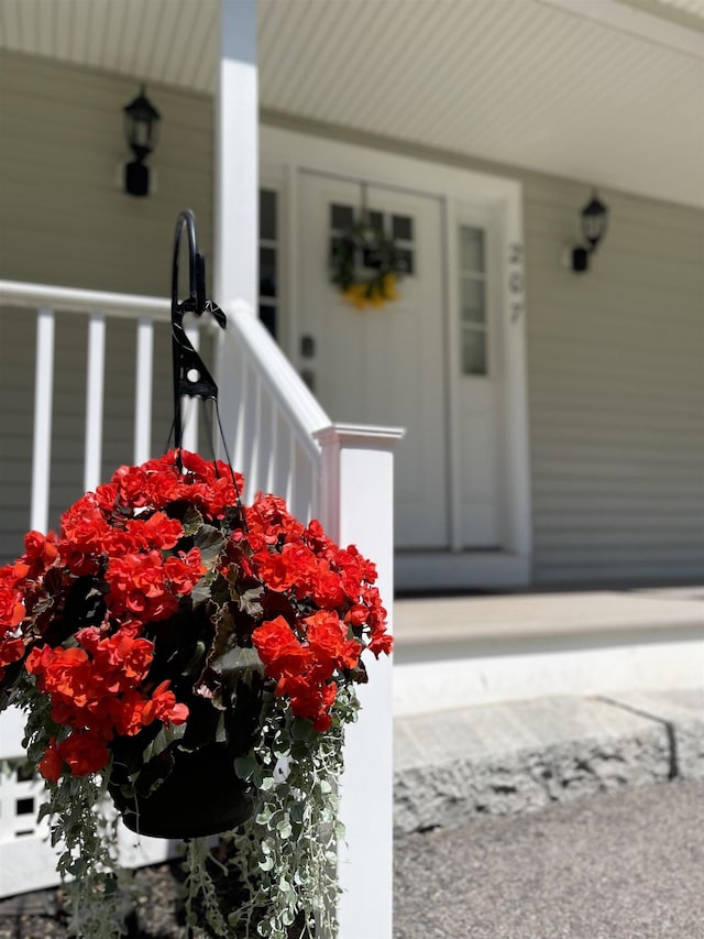 207 Long Pond Rd, Danville, NH 03819 - doorway to property with a porch