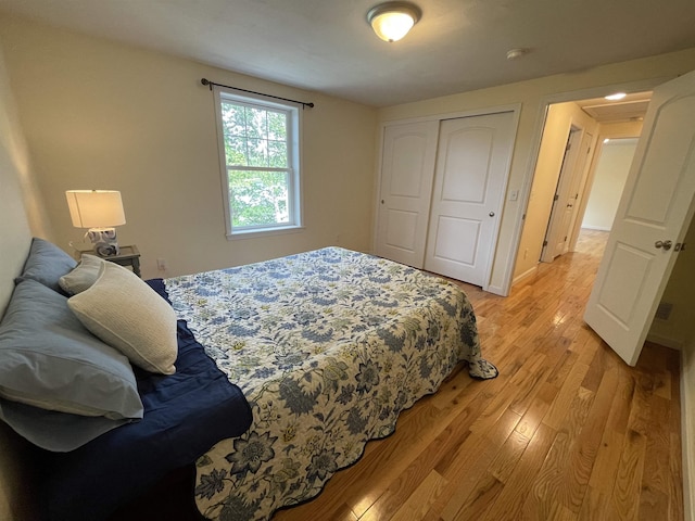 207 Long Pond Rd, Danville, NH 03819 - bedroom featuring light wood-style floors and a closet