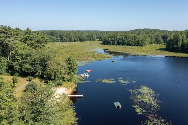 207 Long Pond Rd, Danville, NH 03819 - drone / aerial view of a forest and a nearby body of water