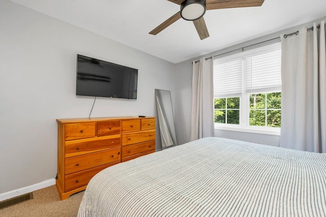 16 Damsite Rd, Barnstead, NH 03225 - bedroom with carpet flooring and a ceiling fan