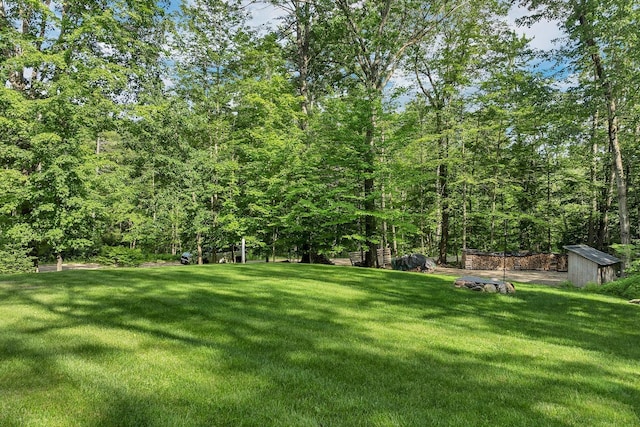 16 Damsite Rd, Barnstead, NH 03225 - view of grassy yard featuring a storage unit and a forest view