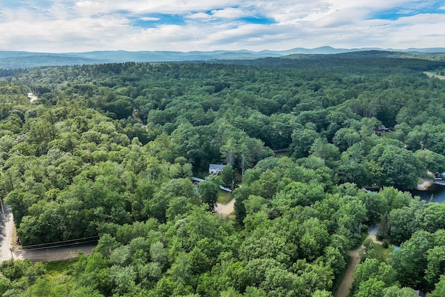 16 Damsite Rd, Barnstead, NH 03225 - bird's eye view of a forest and a mountain backdrop