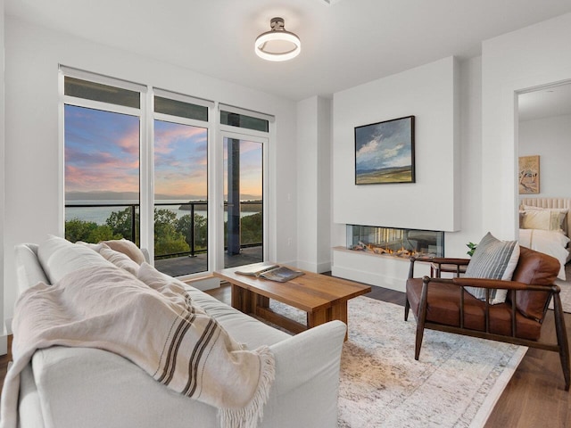 125 Cambrian Way Unit 610, Burlington, VT 05401 - living area featuring wood finished floors, a multi sided fireplace, and a water view
