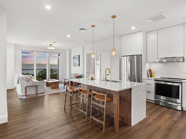 125 Cambrian Way Unit 610, Burlington, VT 05401 - kitchen with stainless steel appliances, under cabinet range hood, modern cabinets, dark wood-style flooring, and recessed lighting