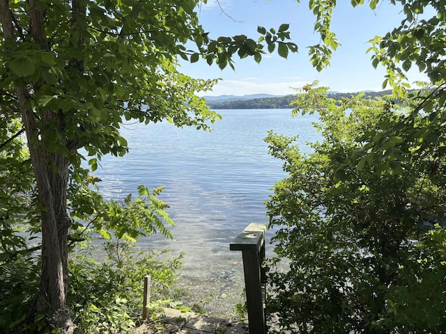 1056 Point Of Pines Rd, Castleton, VT 05735 - water view with mountains