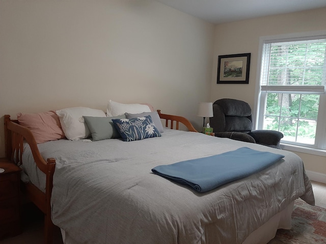 11 Captain Lovewell Ln, Ossipee, NH 03814 - bedroom with multiple windows