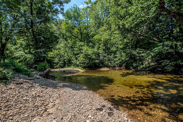 11 Captain Lovewell Ln, Ossipee, NH 03814 - view of yard with a wooded view