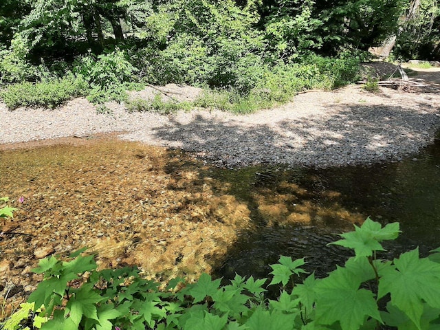 11 Captain Lovewell Ln, Ossipee, NH 03814 - view of local wilderness