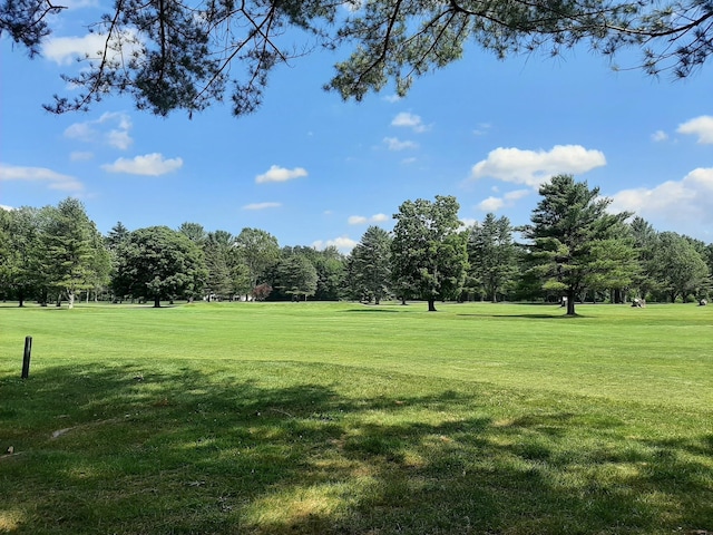 11 Captain Lovewell Ln, Ossipee, NH 03814 - view of community featuring a lawn and view of scattered trees
