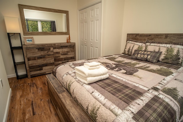 12 Encore Pl, Dover, VT 05356 - bedroom featuring a closet and dark wood-style flooring