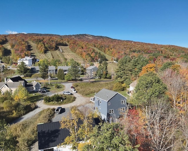 12 Encore Pl, Dover, VT 05356 - aerial view of a heavily wooded area
