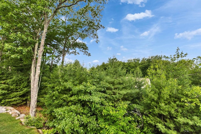 25 Reserve Way Unit 60, Milford, NH 03055 - view of nature