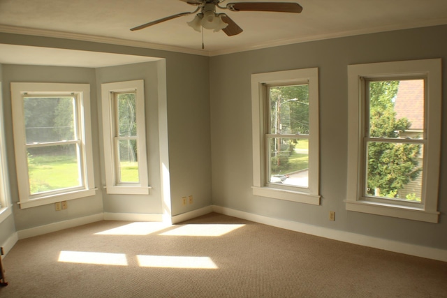 12 Abbott St, Rochester, NH 03868