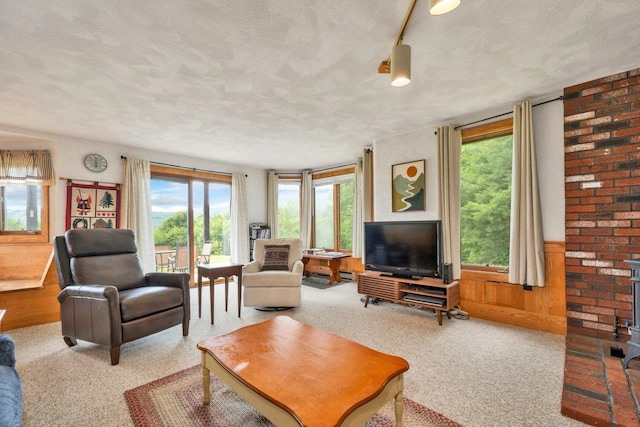 F22 Christmas Mountain Rd Unit 22, Bartlett, NH 03812 - living room featuring a textured ceiling, carpet flooring, and a wainscoted wall