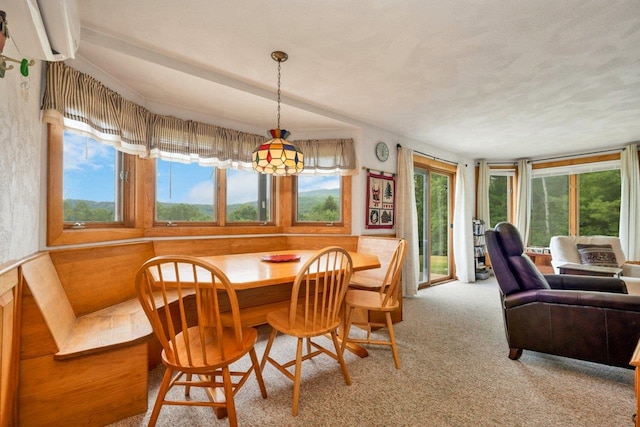 F22 Christmas Mountain Rd Unit 22, Bartlett, NH 03812 - dining area with healthy amount of natural light, a wall mounted AC, and light carpet