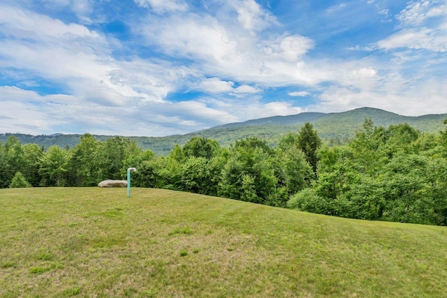 F22 Christmas Mountain Rd Unit 22, Bartlett, NH 03812 - view of mountain backdrop featuring a forest