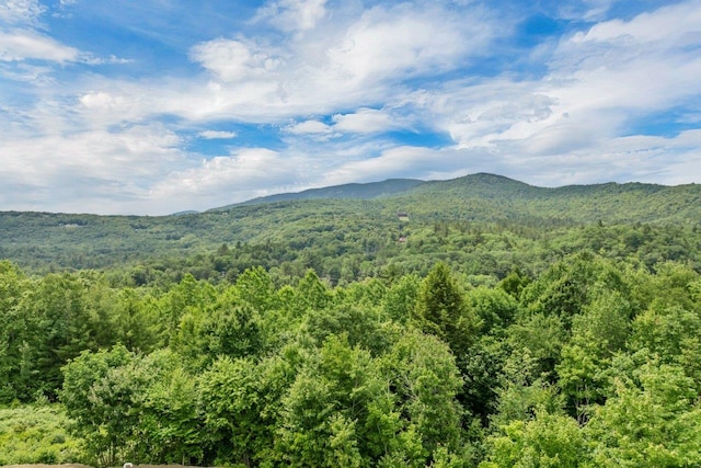 F22 Christmas Mountain Rd Unit 22, Bartlett, NH 03812 - view of mountain background with a forest