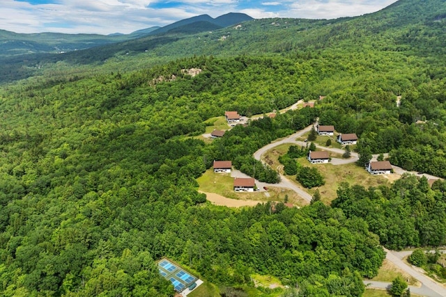 F22 Christmas Mountain Rd Unit 22, Bartlett, NH 03812 - drone / aerial view of a forest and a mountainous background