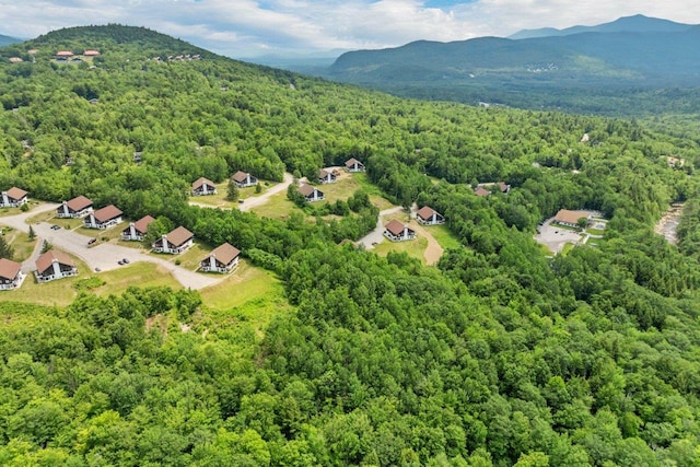 F22 Christmas Mountain Rd Unit 22, Bartlett, NH 03812 - aerial view of a heavily wooded area and a mountain backdrop