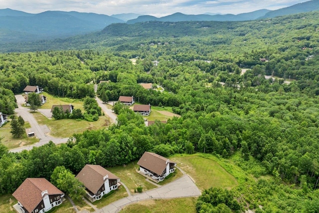 F22 Christmas Mountain Rd Unit 22, Bartlett, NH 03812 - drone / aerial view of a forest and a mountain backdrop