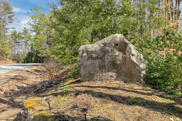 107 Peaked Hill Rd, Hopkinton, NH 03229 - exterior view
