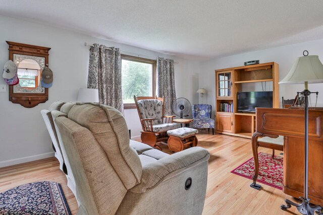 22 Pelham Rd, Hudson, NH 03051 - living room with light wood-style floors and a textured ceiling