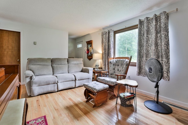 22 Pelham Rd, Hudson, NH 03051 - living area with light wood-style floors and a textured ceiling