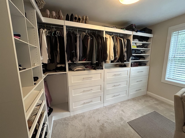 50 Newfields Rd Unit A, Exeter, NH 03833 - spacious closet featuring carpet
