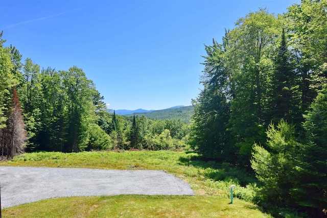 00 Serenity Ln, Lisbon, NH 03585 - view of yard featuring a mountain view and a wooded view