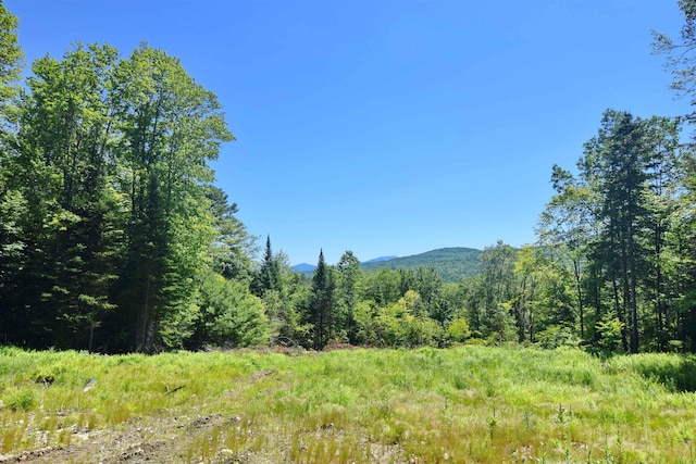 00 Serenity Ln, Lisbon, NH 03585 - view of mountain backdrop with a forest