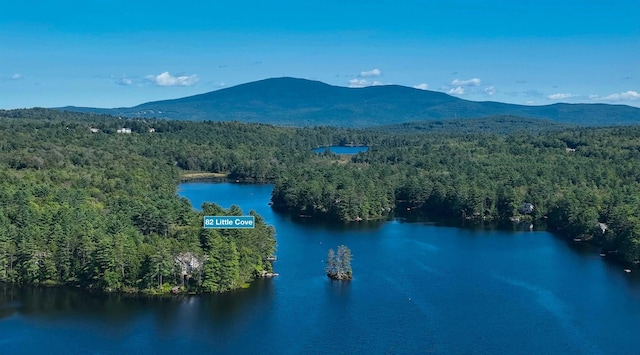 82 Little Cove Rd, New London, NH 03257 - drone / aerial view of a forest and a water and mountain view