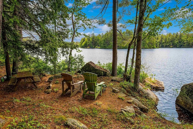 82 Little Cove Rd, New London, NH 03257 - view of yard with a water view and a wooded view