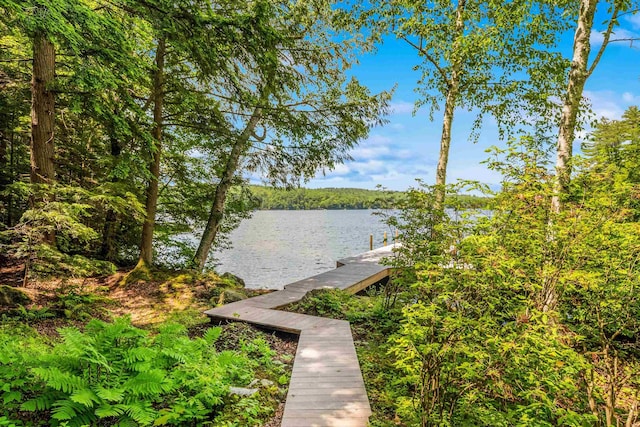 184 Bowles Rd, Newbury, NH 03855 - dock area with a water view and a forest view