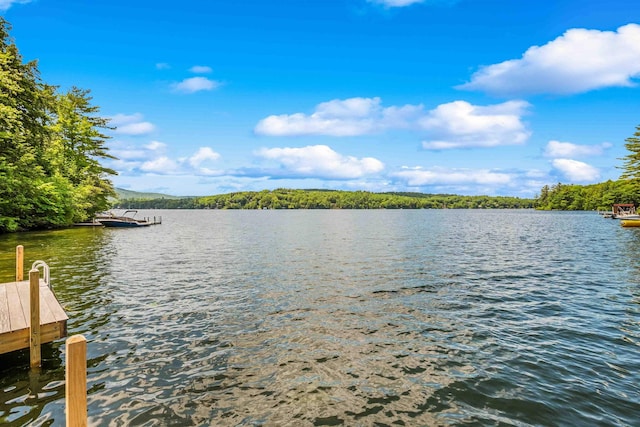 184 Bowles Rd, Newbury, NH 03855 - water view with a boat dock