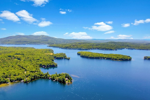 184 Bowles Rd, Newbury, NH 03855 - drone / aerial view of a water and mountain view and a heavily wooded area
