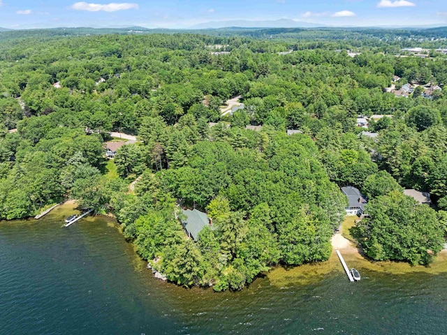 432 Shore Dr, Laconia, NH 03246 - view of property location featuring a heavily wooded area and a nearby body of water
