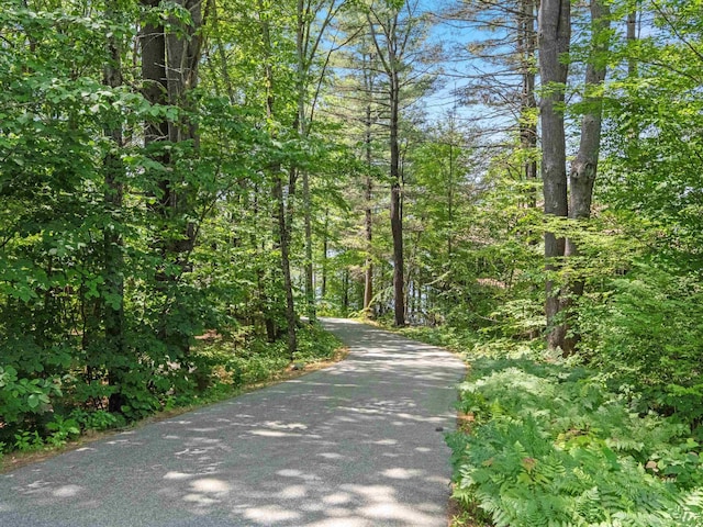 432 Shore Dr, Laconia, NH 03246 - view of street featuring a forest view