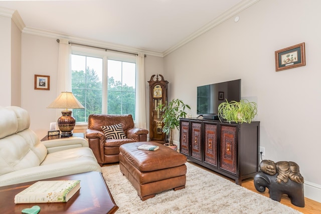 32 Willey Creek Rd Unit 402, Exeter, NH 03833 - living room featuring ornamental molding and wood finished floors
