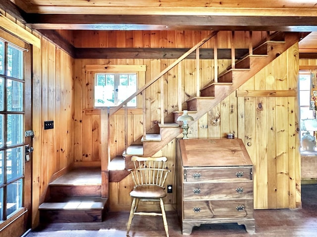 32 Pikes Point Rd, Bristol, NH 03222 - stairs featuring wood walls and plenty of natural light