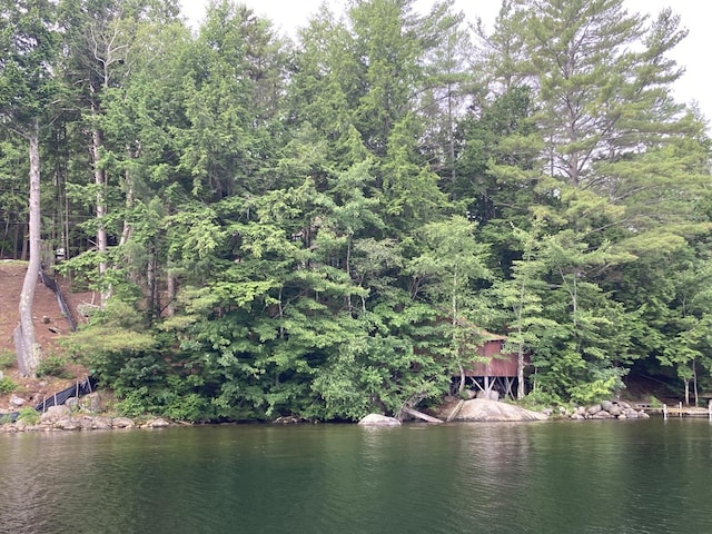 32 Pikes Point Rd, Bristol, NH 03222 - water view